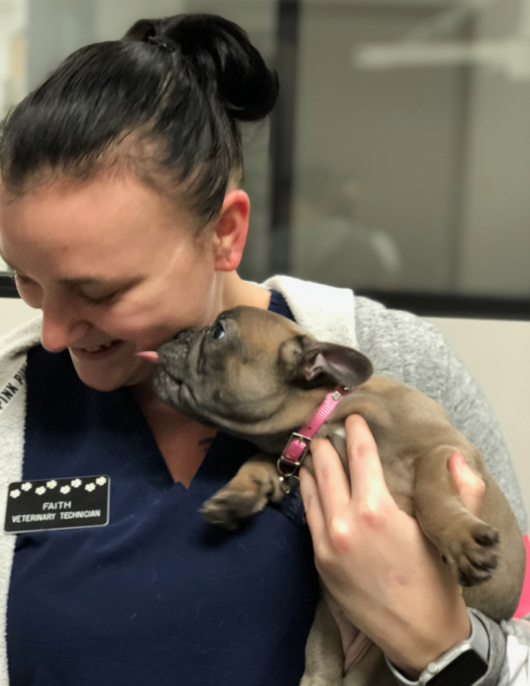 New Clients All Paws Riverside Animal Hospital