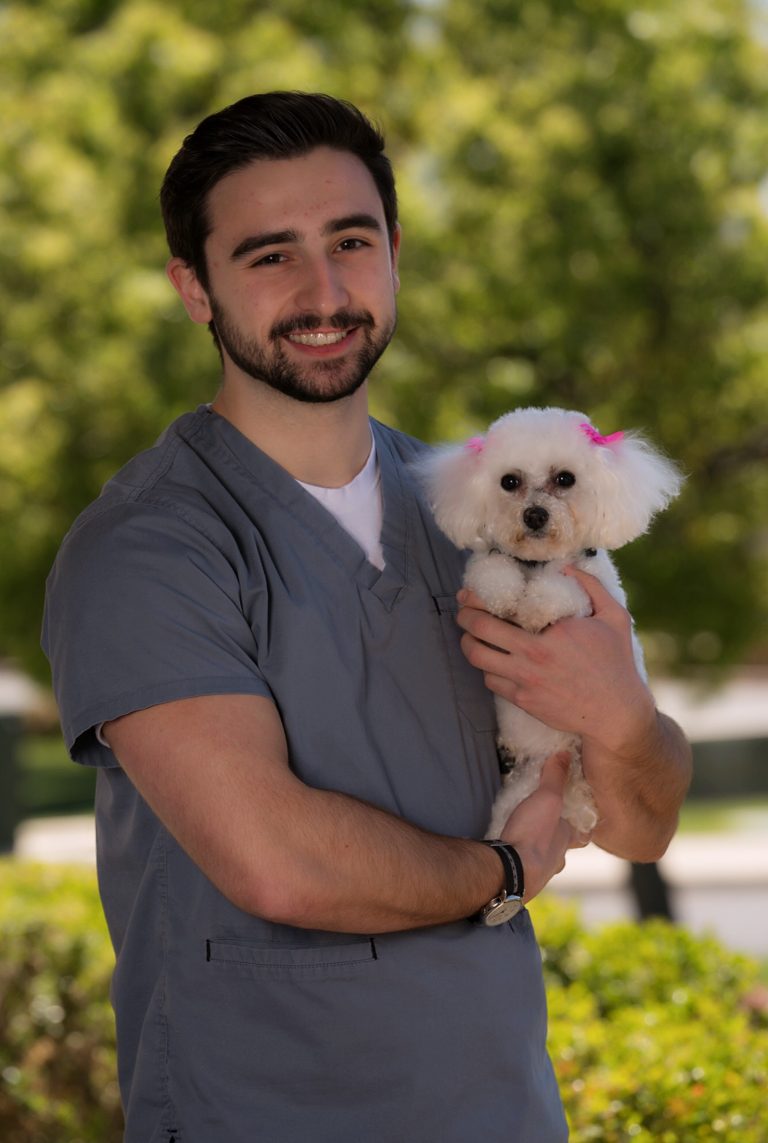 Our Team All Paws Riverside Animal Hospital