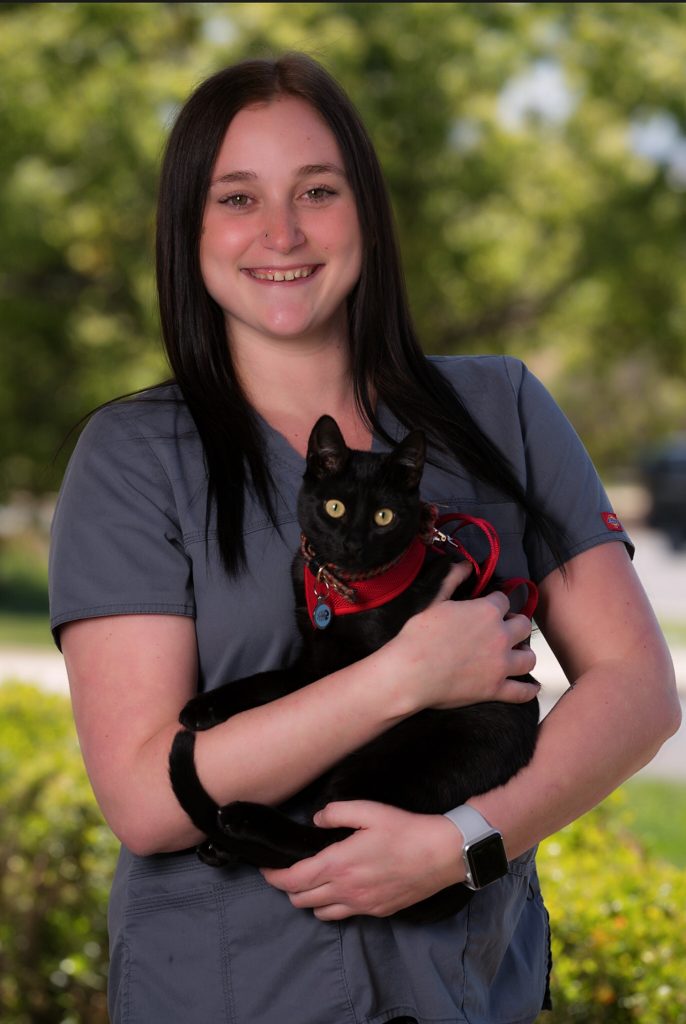 Our Team All Paws Riverside Animal Hospital