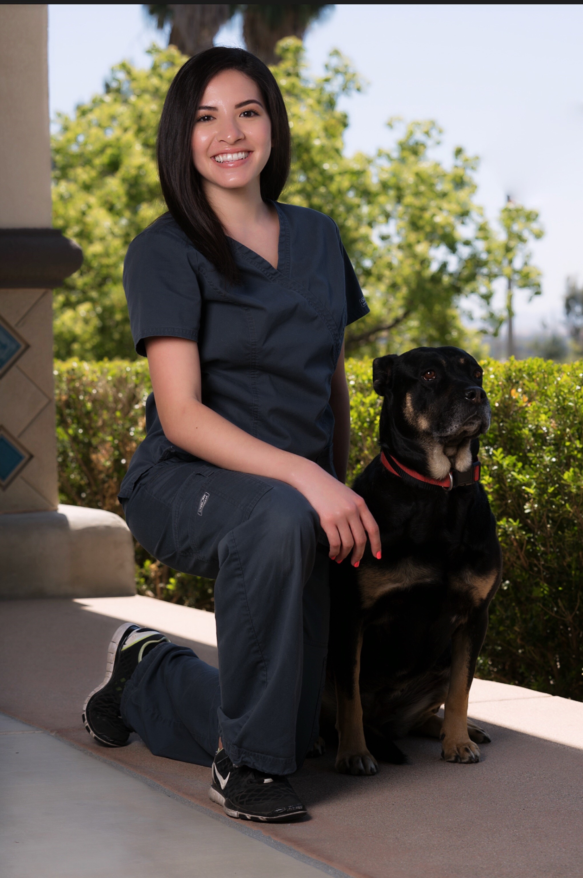 Our Team All Paws Riverside Animal Hospital